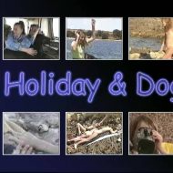 Holiday and Dog