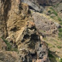 Mountain Family Profiles - 1