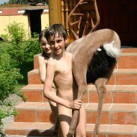 Nudist Pics Bring Out Outdoor Moose - 1